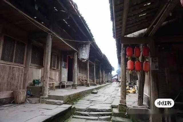 问答网站鹤顶红指什么动物,汇聚了丰富的知识问答资源